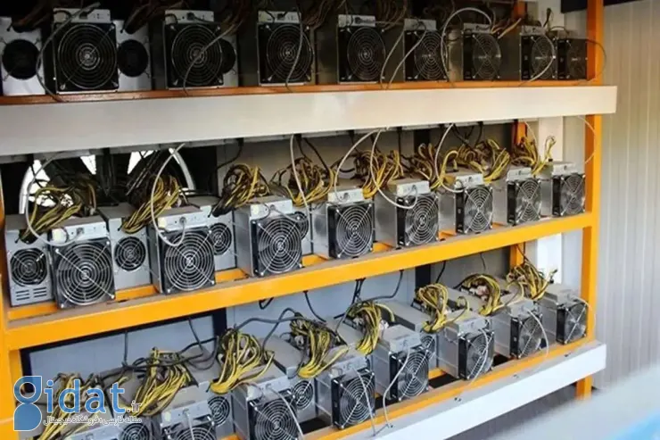افعی برقی ایران شناسایی شد