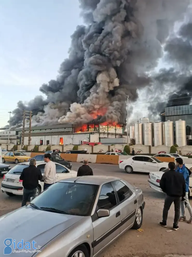 علت آتش‌سوزی در شرکت کاله مشخص شد