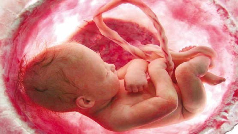 ناباروری و سقط چه علتی دارد؟