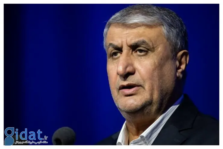 شرط ایران برای ادامه همکاری با آژانس فاش شد