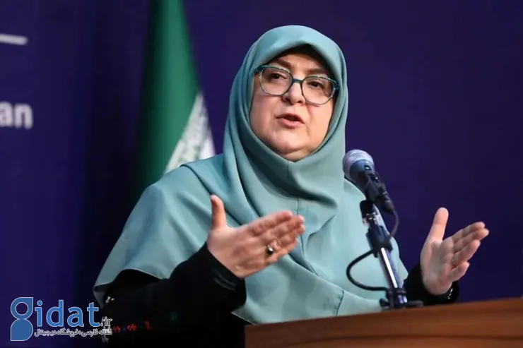 خانم سخنگوی! چرا با تشریفات سران کشورها سفر می کنید؟