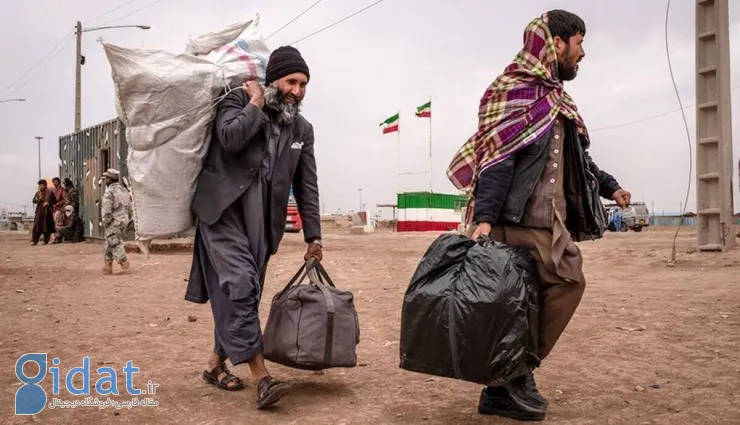 ۱.۵ میلیون افغانی رفته، پس چرا نان سنگک ارزان نشد؟