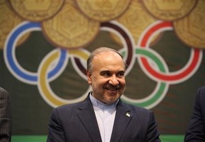 سلطانی فر: سرخابی ها نیمه اول سال آینده واگذار می شوند