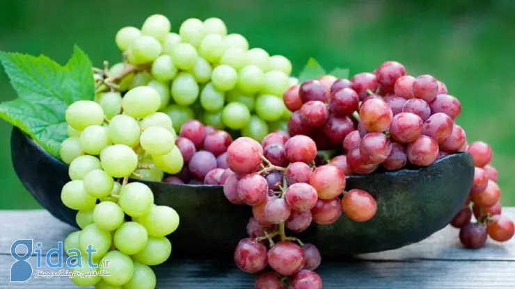 معجزه انگور برای سلامتی