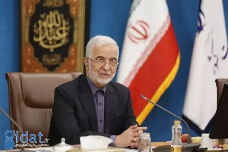 مومنی: ۷۰ درصد شهروندان داوطلبانه ایران را ترک کردند