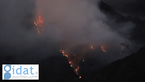 اطلاعیه قوه قضائیه در خصوص خبر جنجالی دستگیری یک نفر