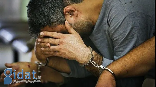 انهدام یک باند کلاهبرداری چند میلیارد دلاری