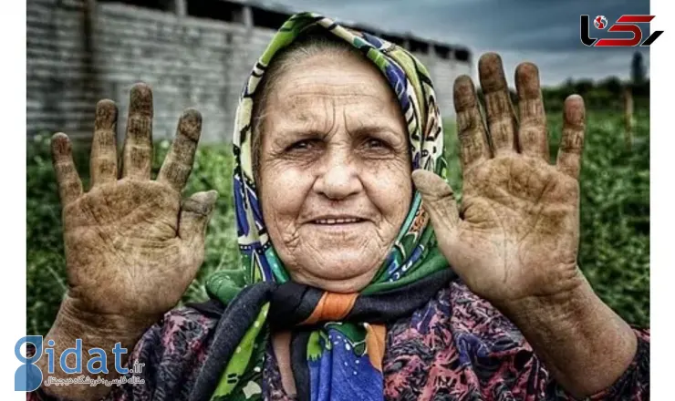 آقای رئیس جمهور حقوق ها جوابگوی تورم هم نیست!