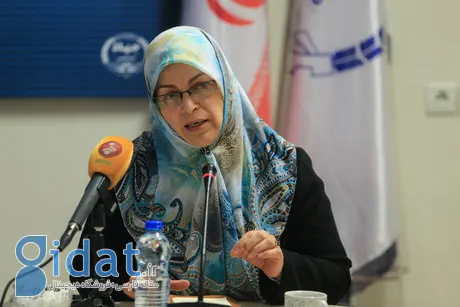 آذر منصوری: ما مرتباً عملکرد دولت را رصد می‌کنیم