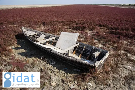 آب مرگبار در بزرگترین خلیج خزر در حال فروکش کردن است