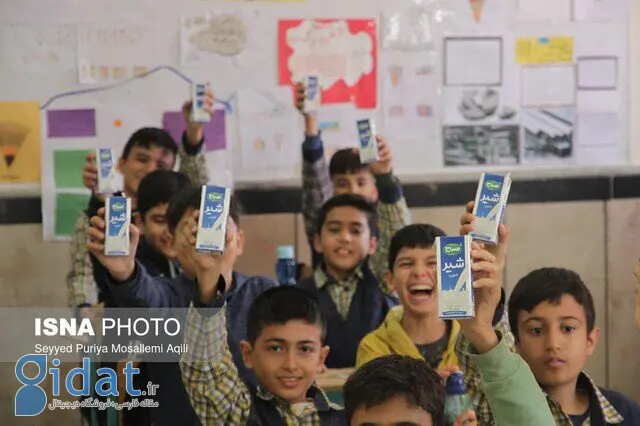 زمان دقیق توزیع شیر در مدارس اعلام شد
