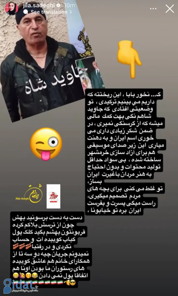 استوری تند ژیلا صادقی علیه حمید فرخ نژاد