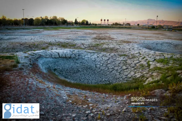 مرگ نیلوفر کرمانشاه، زیبایی که محو شد