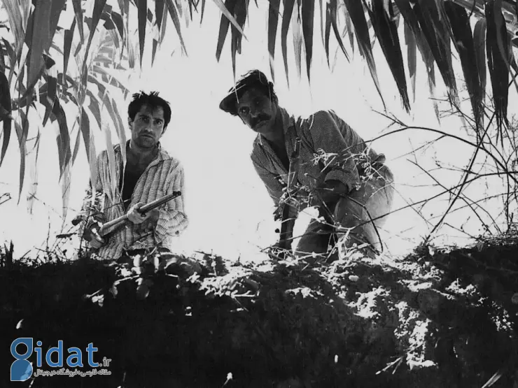 ۱۰ فیلم برتر تاریخ سینمای ترکیه که باید دید