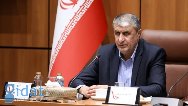 ایران با همکاری روسیه در حال ساخت ۸ نیروگاه هسته‌ای است