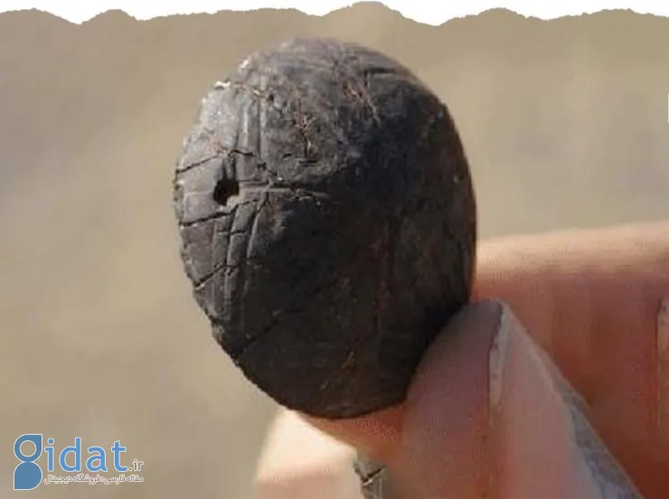 photo_2025-11-04_10-39-37