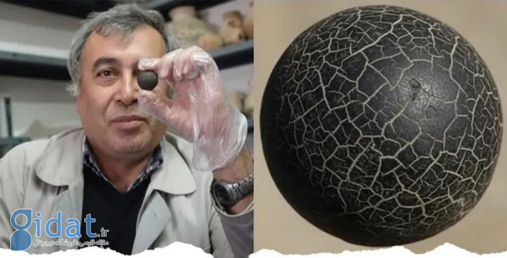 photo_2025-11-04_10-39-38