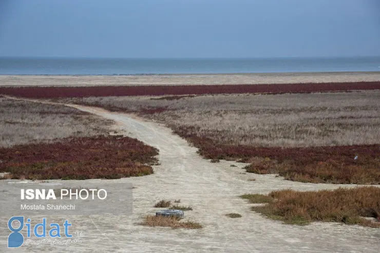 photo_2025-11-29_23-47-15