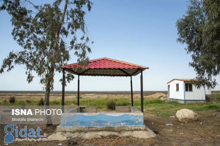 photo_2025-11-29_23-47-24