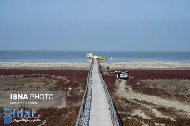 photo_2025-11-30_09-21-13