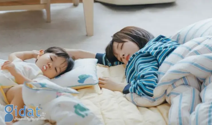 photo_2026-02-11_14-05-19