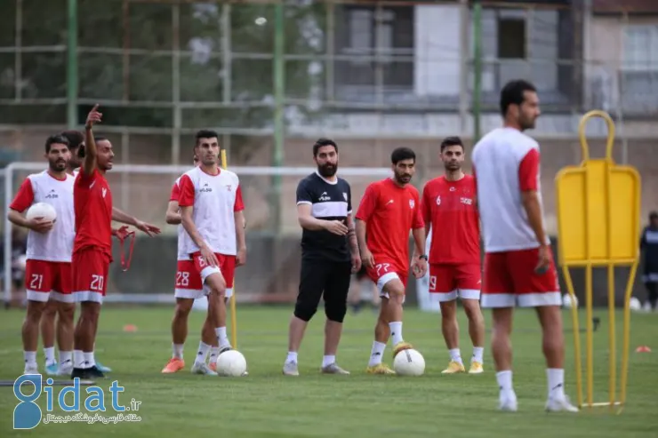 هوادار می تواند یک جام دیگر از پرسپولیس بگیرد!