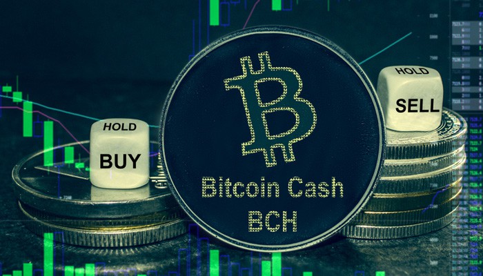 معرفی ارز بیت کوین کش (BCH)