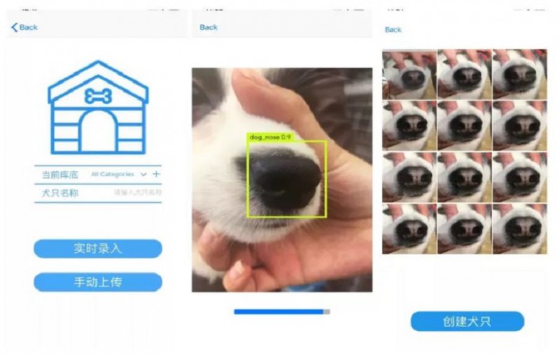 یک استارتاپ چینی سگ های گمشده را از طریق تصویر بینی پیدا می‌کند