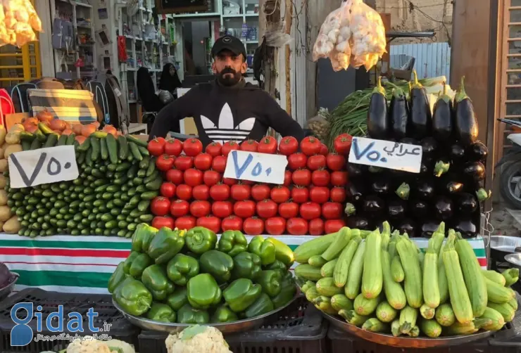 جنجال گوجه فرنگی ایرانی در بازار بصره!
