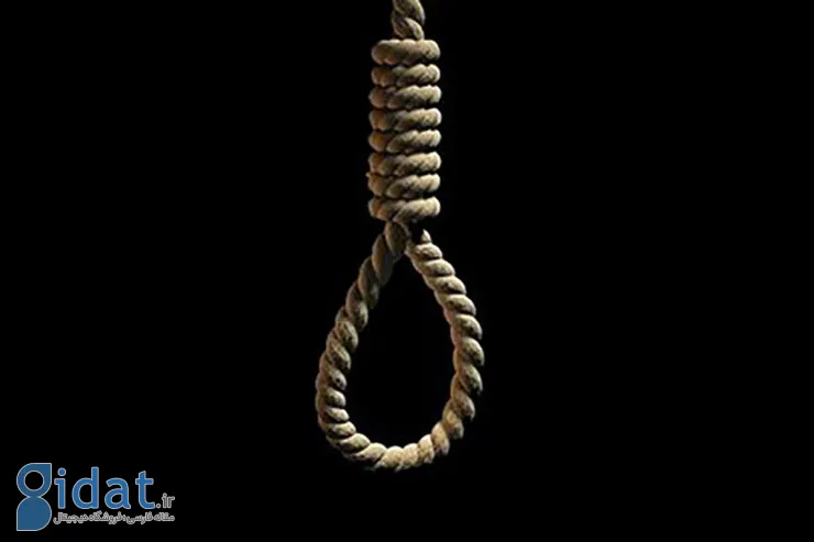 یک عضو داعش اعدام شد