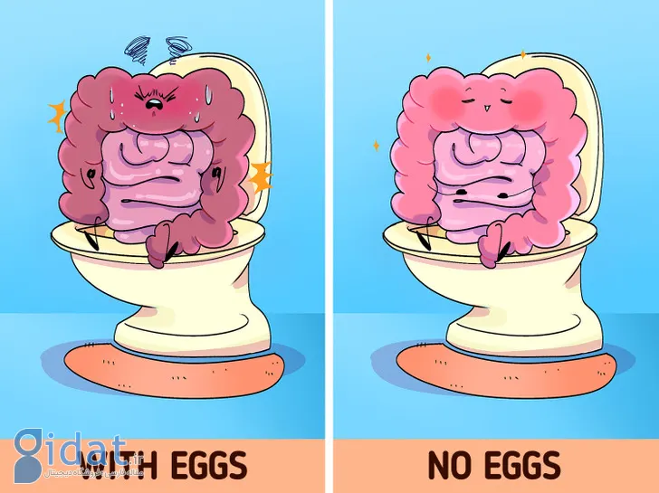 اگر تخم مرغ را از رژیم غذایی خود حذف کنیم چه اتفاقی برای بدن ما می افتد؟