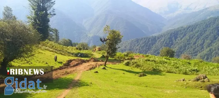 کشف جاده غیرقانونی ۸ کیلومتری در جنگل های گیلان