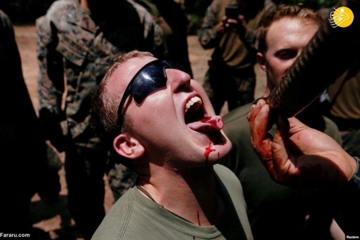 (تصاویر) خوردن خون کبرا، عقرب و رتیل توسط سربازان آمریکایی