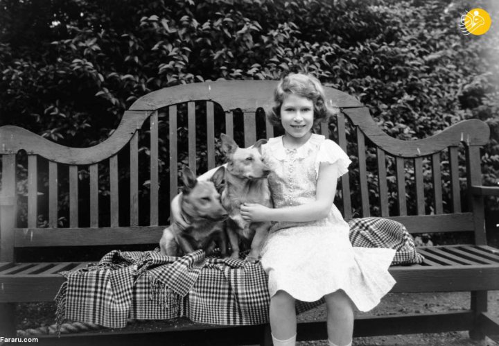 (تصاویر) ملکه انگلیس و سگ های مورد علاقه اش