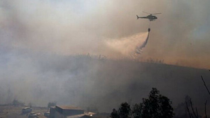 آتش سوزی گسترده در جنگل های گچساران