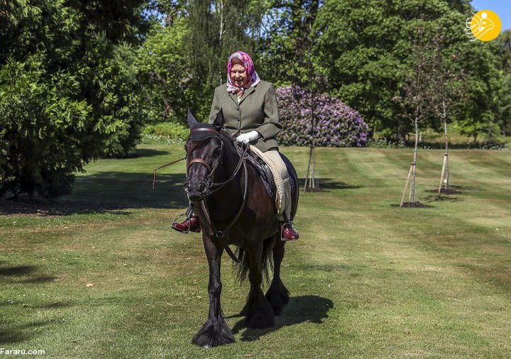 (تصویر) ملکه انگلیس سوار اسب از قرنطینه خارج شد