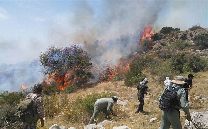 بازداشت دو نفر در رابطه با آتش سوزی جنگل های کهگیلویه و بویراحمد