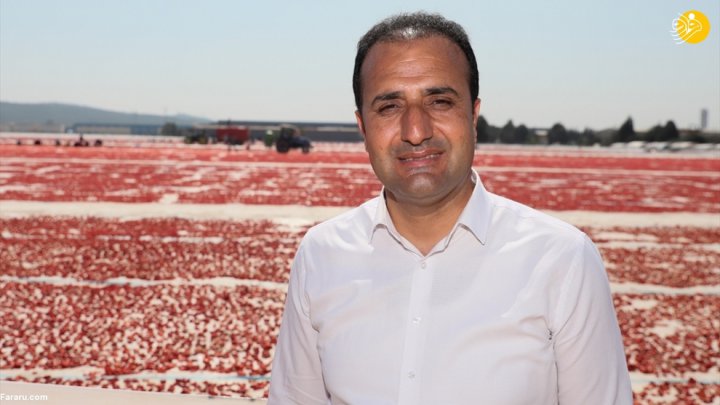 (تصاویر) فرش قرمزی به وسعت یک دشت؛ روش خشک کردن گوجه فرنگی در ترکیه
