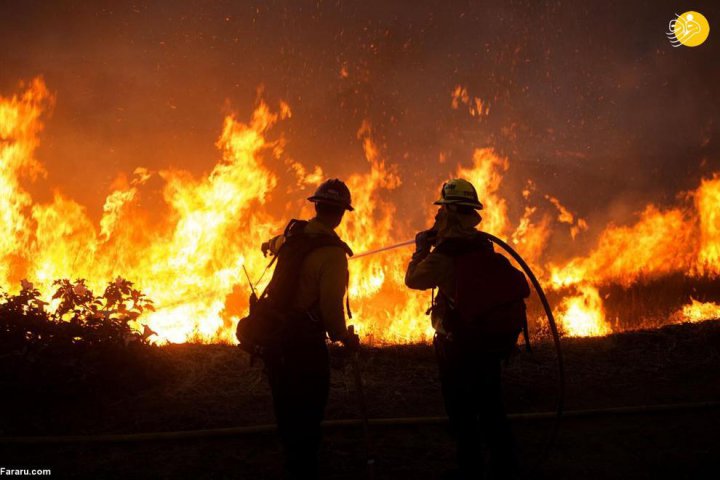 (تصاویر) آتش سوزی مهیب در جنگل های کالیفرنیا