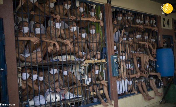 (تصاویر) زندانیان تبهکار در قوطی کنسرو