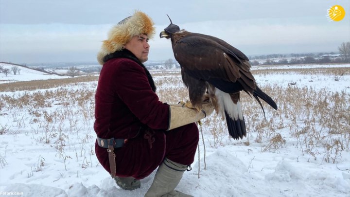 (تصاویر) مسابقه شکار با عقاب در قزاقستان
