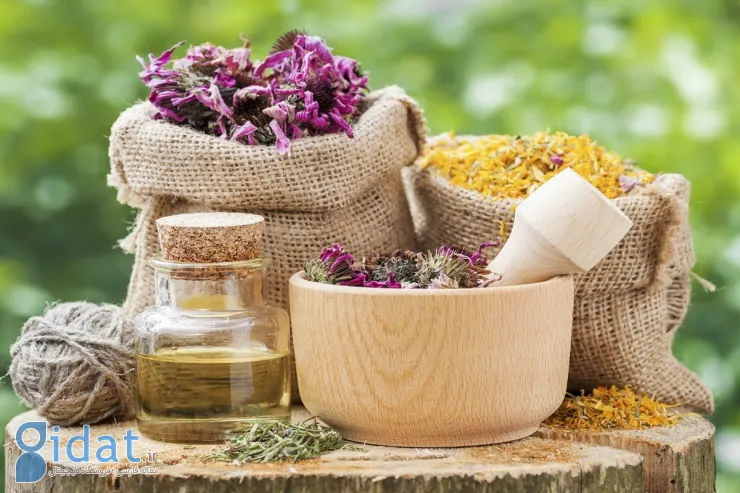 داروهای گیاهی برای ریزش مو؛ آیا آنها واقعا کار می کنند؟