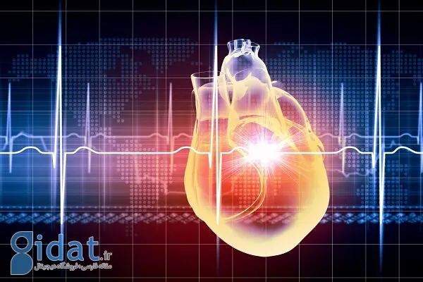 8 شاخص سلامت قلب که منجر به طول عمر می شود