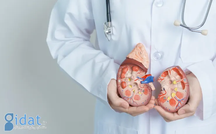 دو بیماری خاص که باعث نارسایی کلیه می‌شوند