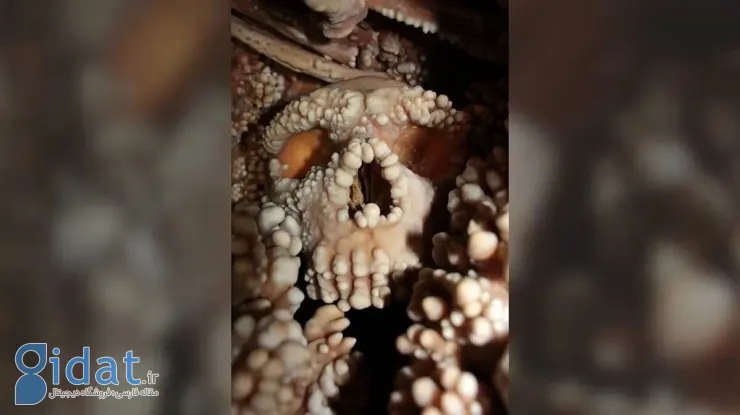 راز انسان‌هایی با جمجمه‌های ۱۳۰ هزار ساله فاش شد