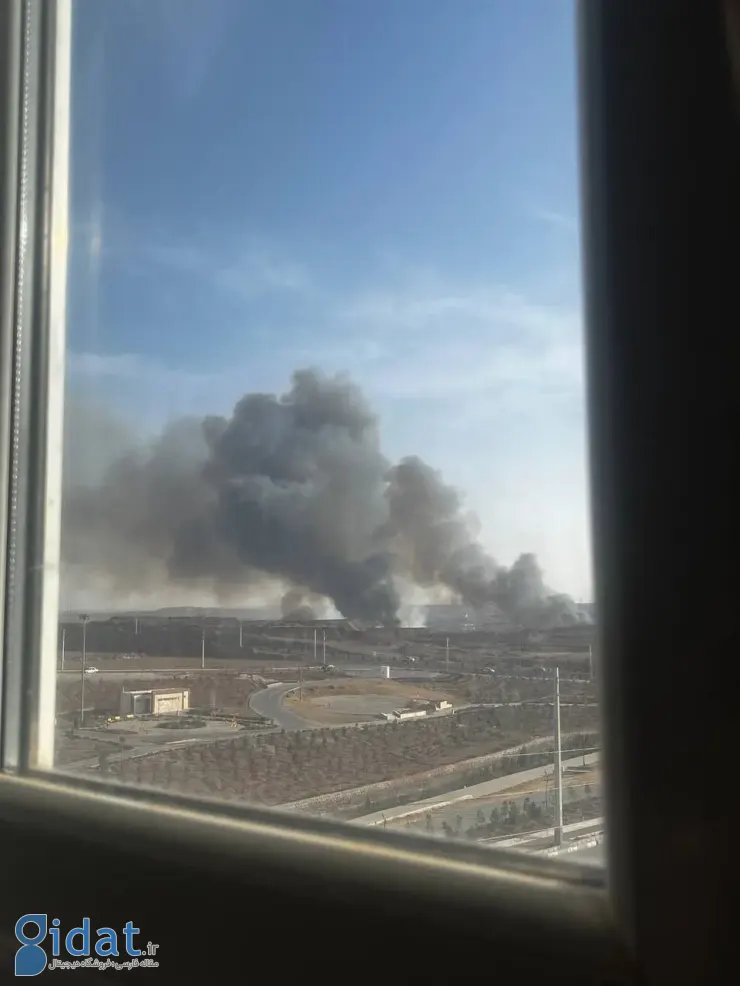 منشاء دود غلیظ در پرند مشخص شد