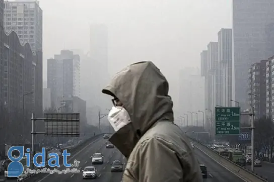 این مواد غذایی از بدن شما در هوای آلوده محافظت می‌کنند