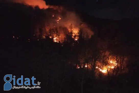 مهار کامل آتش‌سوزی در ارتفاعات لوندویل آستارا