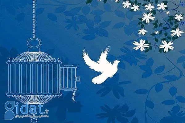 اجرای حکم قاتل امیرمحمد خالقی به تعویق افتاد