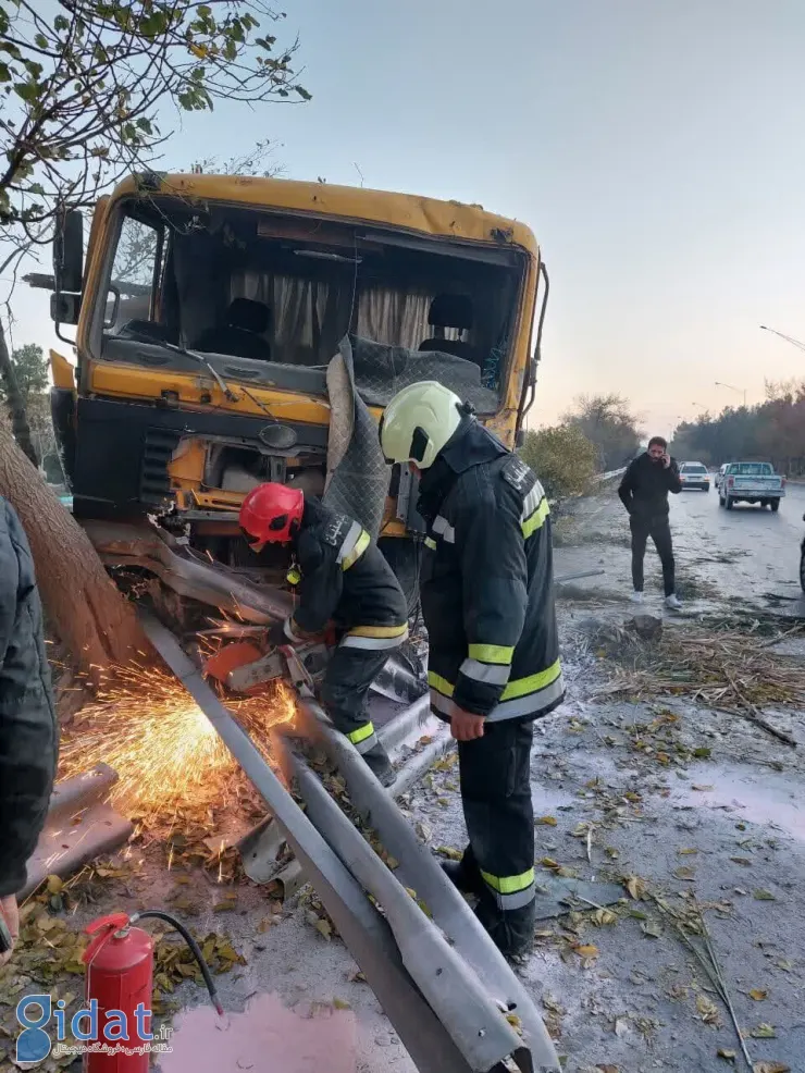 برخورد کامیون با 9 درخت تصادف کرد